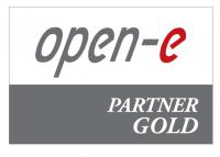 open-e_partner_logo_-_gold.jpg